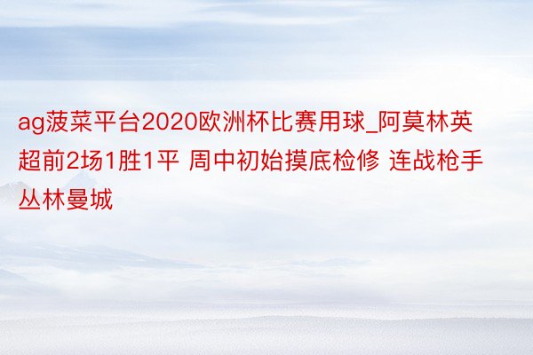 ag菠菜平台2020欧洲杯比赛用球_阿莫林英超前2场1胜1平 周中初始摸底检修 连战枪手丛林曼城